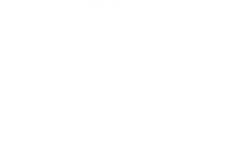 Cosmital Inc.