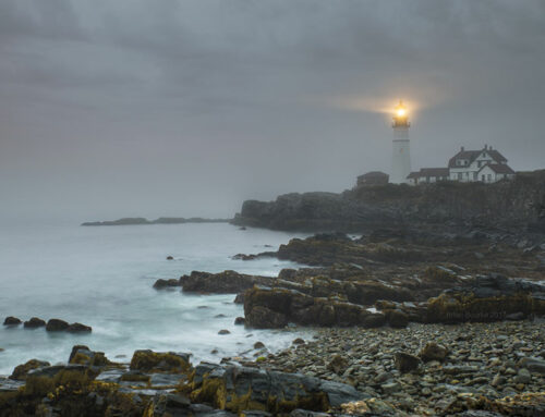 Stop Marketing to Headlines: Why Uncertain Times Are When You Double Down on Trust